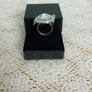 SSTEEL RING